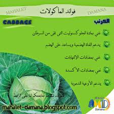 Mahalet Damana فوائد الكرنب الصحية Health Fitness Food Food Medicine Workout Food