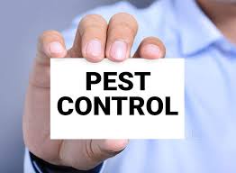 That's why we serve the upper. Wil Kil Pest Control Sion Koliwada Residential Pest Control Services In Mumbai Justdial