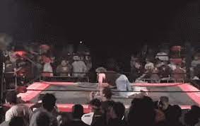 Check spelling or type a new query. Fans Throw Hundeds Of Chairs At A Wrestler Gifs