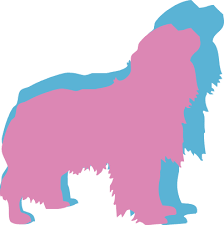 Free Free King Charles Spaniel Svg 190 SVG PNG EPS DXF File