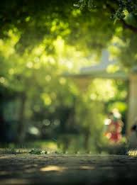 Pin By Sher Abbas On G Dslr Background Images Blurred Background Photography Blur Background Photography Dslr background blur 6199 » background check all. blur background photography