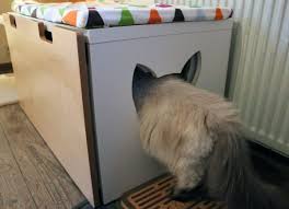 Bei amazon erhältst du katzenschränke ohne zubehör zu fairen preisen. Katzenklo Verstecken So Geht S