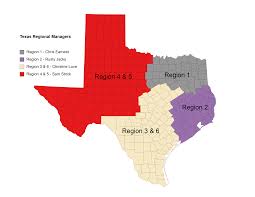 Image result for Regional
