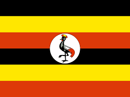In their 14 most recent matches of premier league, wakiso giants have achieved just 1 wins. Betexplorer Premier League 2020 2021 Stats Soccer Uganda Tables Results