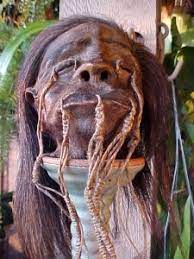 The shrunken heads featured were printed with the tree supports. Shrunken Heads For Sale World S Best Real Authentic Jivaro Tsantsa