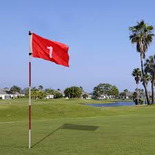 Pga tour pro marc leishman has mastered the art of backyard practice green care. Golf Flag Sticks Putting Green Flags For Yard Golf Pin Flags With 5 Section Design Putting Greens Green Cups Green