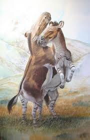 Hardstyle gardener fitness/ beach ‍♂️. Fighting Hippidion By Peter Schouten Prehistoric Wildlife Extinct Animals Megafauna