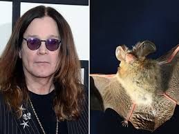 Ozzy osbourne and the bat. Ozzy Osbourne S Estate Conversion Halted As Bats Come Back To Bite Him Mirror Online