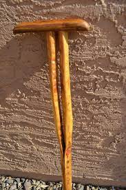 Luckily, you can find saguaro cactus just about anywhere you. V Saguaro Cactus Walking Cane Bastones