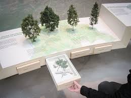 Museumsgestaltung Vitrine Mit Schublaben Und Modellbaumen Museum Ausstellungsdesign Interaktive Ausstellung Ausstellung