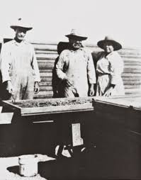 Cecilio Tumamait (center) and his wife, María Basilisa Tumamait (née  Barrios), drying apricots in the late 1920s ; the man