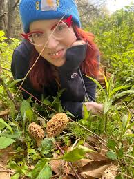 I've seen 3 in the last 2 days. Watch out for them!