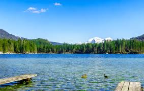 Ihnen steht ein eigener garten am see zur vefügung. Ferienhaus Am See Ferienhauser Am See Ferienwohnungen Am See