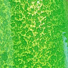 Two Coat Candy Lime Green Kit All Powder Paints