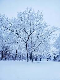 Snow comprises individual ice crystals that grow while suspended in the atmosphere—usually within clouds—and then fall, accumulating on the ground where they undergo further changes. Photos Snow Blankets Mid Missouri Abc17news