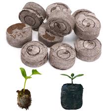 In this video we start seeds using jiffy organic seed starting mix. Fauge 100pcs Professional Peat Pellets Plant Starting Soil Block Jiffy Seedling Plugs Environmental Garden Nursery Gardening Patio Lawn Garden Urbytus Com