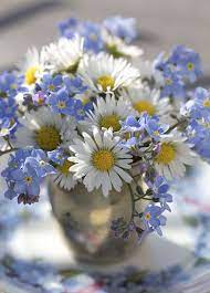 We offer a unique variety of daisies from yellow daisies to red daisies. 10 Forget Me Not Bad Puns Aside This Sweet Flower Is Truly Hard To Forget This Plant Bears Ti Blue Wedding Flowers Beautiful Flowers Spring Wedding Flowers