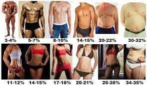 First, when you look on the chart above, you can easily see that the body fat percentage in women is higher. Body Fat Percentage Chart For Men And Women Ignore Limits