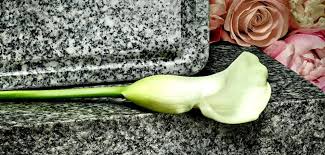 Brol medical center este o clinica privata situata in centrul orasului timisoara avand o experienta de aproape 20 de ani in chirurgia estetica. Servicii Funerare Sector 1 Bucuresti Pompe Funebre Anima Non Stop