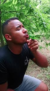 Douglas Frías Robles