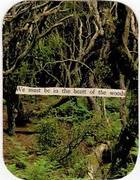 We Must Be In The Heart Of The Woods Walk In The Woods Adventure Is Out There Urban Nature