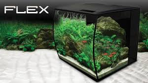 Fluval Flex 9 15 Us Gal Aquarium Youtube