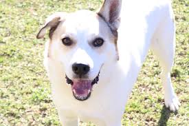 Instagram photo by Sandy's House • Jul 14, 2025 at 10:42 PM