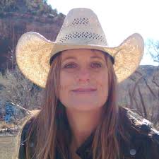 What are some suggestions to address a Border Collie's stress colitis and  diarrhea after a trip?