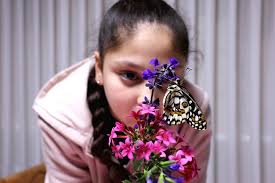 הי מעוניין לגדל עם הילד, מהיכן אני יכול להשיג זחלים?