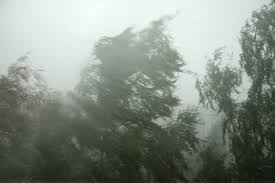 Zehn einrichtungen wurden in mitleidenschaft gezogen, zwei mussten sogar. Unwetter Am Wochenende Hat Auch Schulen Und Kitas Betroffen Nachrichten Aus Leipzig Leipziger Zeitung