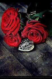 Pin By Paula Perron On S H A P E O F Y O U R H E A R T Beautiful Flowers Photography Love Rose Beautiful Flowers