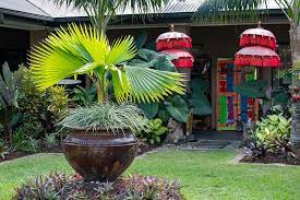 Colourful vistas, linear pathways and focal points create the structure of the garden and help link indoor rooms with outdoor spaces. Bali Gardens Are The Inspiration Behind This Award Winning Outdoor Design Queensland Homes Magazine