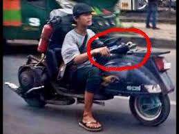 Image result for gambar vespa extreme
