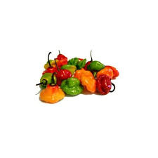 Buy Fresh Aji Cachucha Peppers 1 Lb Online In Indonesia B00o803kxw