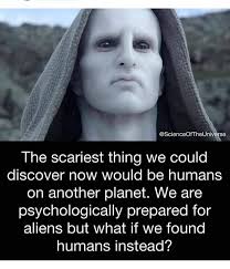 Thought this looked really cool!