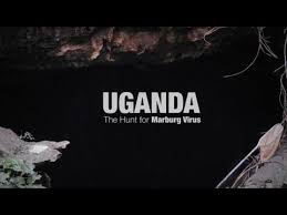Le virus marburg, ou marburg marburgvirus, est un virus endémique dans plusieurs pays d'afrique. Detectan Virus De Marburg En Sierra Leona Biotechmn