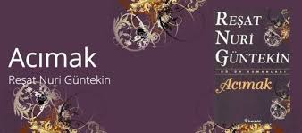 Acimak Romaninin Tahlili Roman Tahlili Kitap Kitap Incelemesi Romanlar