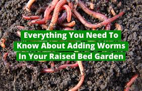 We did not find results for: Everything You Need To Know About Adding Worms In Your Raised Bed Garden Slick Garden