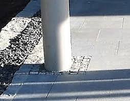 Pin Auf G Artenprojekte