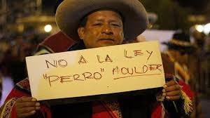 Resultado de imagen para protestas por ley mulder