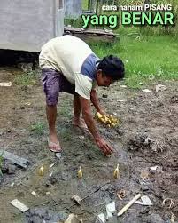 We did not find results for: Facebook