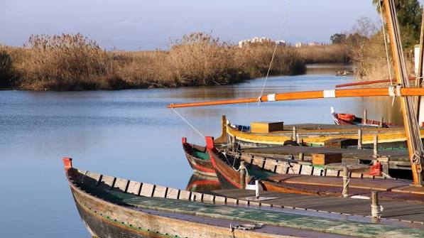El Palmar: Descubre Qué Ver - Comunitat Valenciana