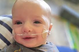 Fundraiser for Rebecca Wickesberg by Nicole Sippel : Rally for Royce