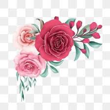 Elegant Watercolor Floral Border Decoration Of Red And Peach Roses Flowers Floral Flowers Watercolor Png Transparent Clipart Image And Psd File For Free Down In 2020 Flower Clipart Flower Illustration Flower Painting