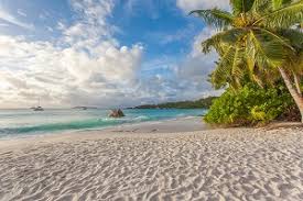 Mit dem antrag auf auszahlung der entschädigung sind der malerkasse folgende unterlagen mitnahme von resturlaub nach einer kündigung ✓ was geschieht mit resturlaub bei resturlaub: Beschaftigungsverbot Anspruch Auf Urlaub Arbeitsrecht 2021