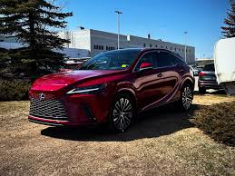 Image result for Matador Red Pearl 2009 RX