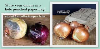 Myfridgefood Store Your Onions In Paper Bag With Holes Onion Food Store Storing Onions