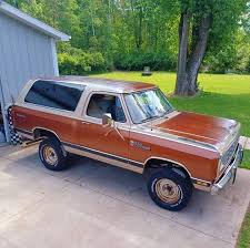 Image result for Sable Brown 1984 Dodge