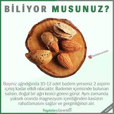 Bas Agrisina Dogal Cozum Health Health Fitness Vegetables