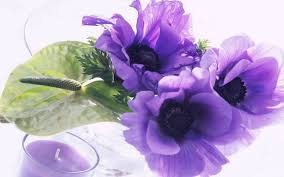 Senina :)) daca iti latra cainele la usa din spate si nevasta tipa la usa din fata, cui dai drumul prima data ? Sa Ai O Zi Minunata Have A Wonderful Day Youtube